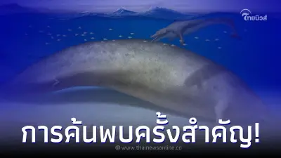 พบวาฬดึกดำบรรพ์ อาจเป็นสัตว์ที่หนักที่สุดในโลก ต้องใช้เวลาในการขนย้าย 3 ปี