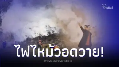 บ่าวสาวจุดพลุแฟลร์ถ่ายพรีเวดดิ้งกลางป่า ทำไฟไหม้อุทยานแห่งชาติ