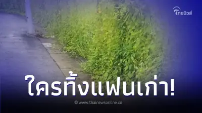 แฟนเก่าใครโดนทิ้งข้างทาง ใครเห็นก็สงสาร โซเชียลถามทำไมใจร้ายกับน้องจัง