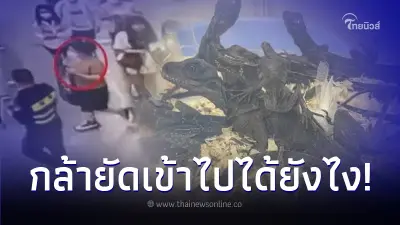 สาวใส่เสื้อหลวมผิดปกติ จนท.เห็นพิรุธแปลกๆ ก่อนพบกิ้งก่าเป็นๆ ในยกทรง 16 ตัว