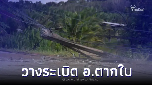โจรใต้ลอบบึ้ม ใกล้ครบรอบ"ม็อบตากใบ"ยิงถล่มจนท.กลางดึก-เสาไฟฟ้าล้มระนาว โจรใต้ลอบบึ้ม ใกล้ครบรอบ"ม็อบตากใบ"ยิงถล่มจนท.กลางดึก-เสาไฟฟ้าล้มระนาว