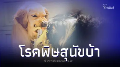 เปิดอาการของโรคพิษสุนัขบ้าและวิธีการป้องกัน