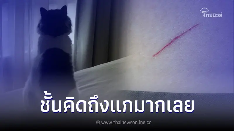 สาวโพสต์รีวิวรอยสักแรกในชีวิต พอรู้ความหมายถึงกับน้ำตาซึม สาวโพสต์รีวิวรอยสักแรกในชีวิต พอรู้ความหมายถึงกับน้ำตาซึม