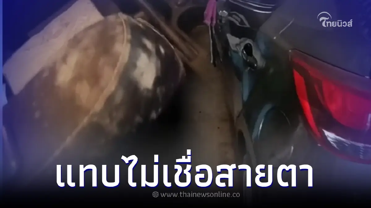 สาวแชร์อุทาหรณ์ จอดรถทิ้งไว้ 1 เดือน เปิดมาดูอีกทีน้ำตาจะไหล