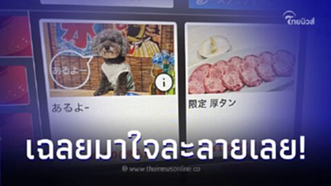ลูกค้าแปลกใจ เห็น "รูปน้องหมาบนป้ายเมนู" ในร้านอาหาร ลองสั่งมาดู