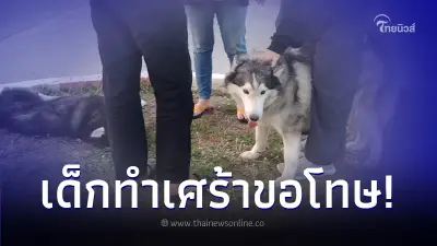 "เจ้าของไซบีเรียน" หัวใจแทบสลายหลังพบภาพกล้องวงจรปิด ช้ำหนักเจอเด็กโกหก !