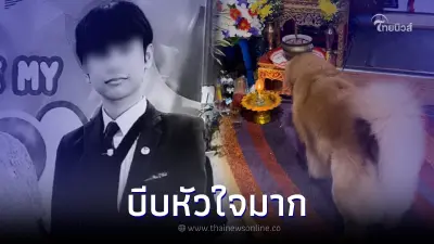 เผยภาพบีบหัวใจ นาทีเจ้าไมกี้มองหา "พี่ม่อน" หลังจากไปไม่มีวันกลับ