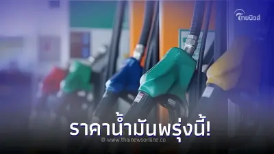 ราคาน้ำมันพรุ่งนี้ 13 พ.ย. 66 เช็คจาก 3 ปั๊มน้ำมันชั้นนำ