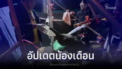 อัปเดตอาการ "น้องเดือน" ลูกช้างป่าทับลาน ไม่พบเชื้อเฮอร์ปีส์ อัปเดตอาการ "น้องเดือน" ลูกช้างป่าทับลาน ไม่พบเชื้อเฮอร์ปีส์