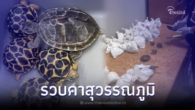 กรมศุลฯ รวบ 2 หนุ่มเกาหลี ลักลอบขนสัตว์ออกนอกประเทศ กลางสนามบินสุวรรณภูมิ กรมศุลฯ รวบ 2 หนุ่มเกาหลี ลักลอบขนสัตว์ออกนอกประเทศ กลางสนามบินสุวรรณภูมิ