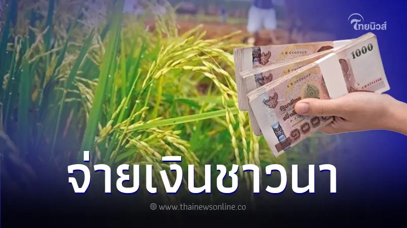 เช็คข้อมูล ธ.ก.ส.โอนเงินช่วยเหลือชาวนาไร่ละ 1,000 บาท เข้าบัญชีวันไหนบ้าง เช็คข้อมูล ธ.ก.ส.โอนเงินช่วยเหลือชาวนาไร่ละ 1,000 บาท เข้าบัญชีวันไหนบ้าง