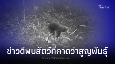 ข่าวดี! มูลนิธิสืบนาคะเสถียร พบ "ตุ่นปากยาว" สัตว์ที่คาดว่าสูญพันธุ์ไปแล้ว