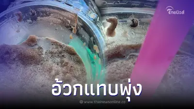 สาวอ้วกแทบพุ่ง ดูดโกโก้ปั่นคำแรกเอะใจเหมือนใส่วุ้น คายออกมาดูเจอทั้งขา สาวอ้วกแทบพุ่ง ดูดโกโก้ปั่นคำแรกเอะใจเหมือนใส่วุ้น คายออกมาดูเจอทั้งขา