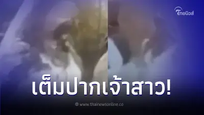 แฟนเก่าบุกงานแต่งอดีตคนรัก แก้แค้นแบบขมคอ แต่เจ้าสาวตอบกลับแบบผู้ดีสุดๆ