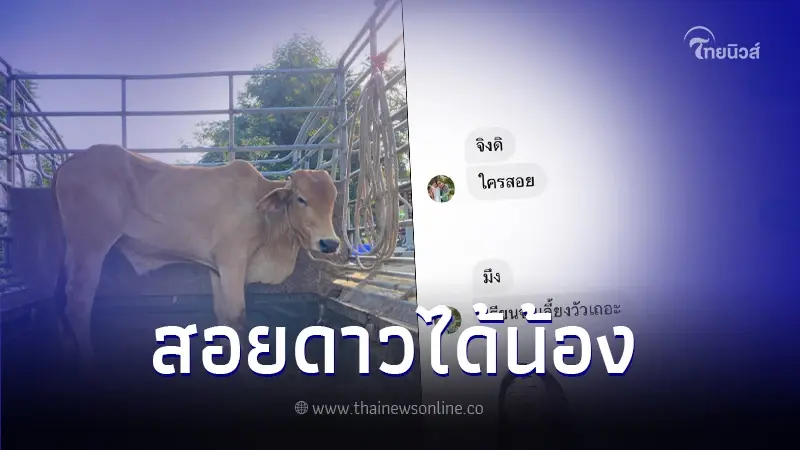 สาวกุมขมับ สอยดาวคืนวันลอยกระทงได้รางวัลใหญ่ ชาวเน็ตแห่คอมเมนต์แซว สาวกุมขมับ สอยดาวคืนวันลอยกระทงได้รางวัลใหญ่ ชาวเน็ตแห่คอมเมนต์แซว