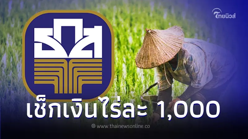 เปิดวิธีเช็กเงินช่วยเหลือชาวนาไร่ละ 1,000 ล่าสุด "ธ.ก.ส." กำหนดวันโอนแล้ว