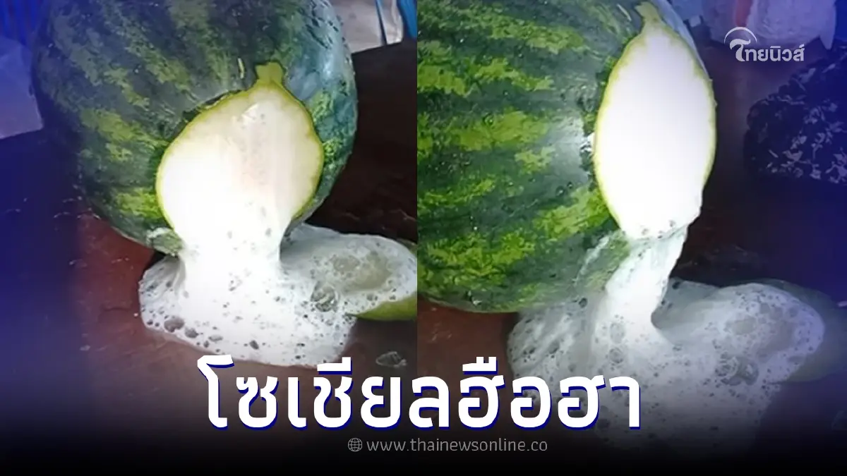 ไวรัลคลิปผ่าแตงโม ไม่เจอเนื้อแดง แต่มีฟองปริศนาพุ่งออกมา แห่สงสัยคืออะไร ไวรัลคลิปผ่าแตงโม ไม่เจอเนื้อแดง แต่มีฟองปริศนาพุ่งออกมา แห่สงสัยคืออะไร