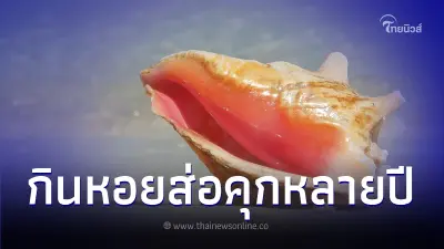 นักชิมยิ้มไม่ออก จับหอยมาปรุงกิน สุดท้ายโดนตำรวจรวบส่อติดคุก 2 - 5 ปี
