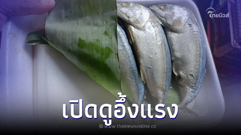 หนุ่มซื้อปลาทูอัมพวา ป้าย 8 ตัว 100 เปิดดูเสียความรูสึก ถึงว่าคนไปเที่ยวน้อย หนุ่มซื้อปลาทูอัมพวา ป้าย 8 ตัว 100 เปิดดูเสียความรูสึก ถึงว่าคนไปเที่ยวน้อย