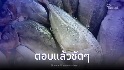 สถาบันมะเร็งฯ เผย สัมผัสสารกันบูดในปลาทูนึ่ง ทำให้เป็นมะเร็งจริงหรือไม่ สถาบันมะเร็งฯ เผย สัมผัสสารกันบูดในปลาทูนึ่ง ทำให้เป็นมะเร็งจริงหรือไม่