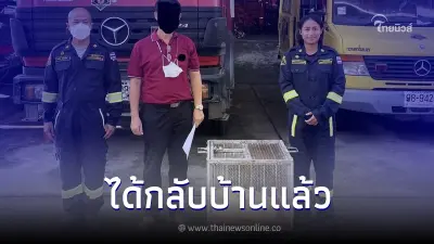 ข่าวดี "งูหลามทอง" ความยาว 4 เมตร เจ้าของมารับกลับบ้านแล้ว