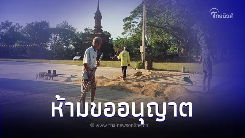 เจ้าอาวาสวัดดัง ประกาศห้ามชาวบ้านขออนุญาตตากข้าว ลั่น ว่างตรงไหนตากได้เลย เจ้าอาวาสวัดดัง ประกาศห้ามชาวบ้านขออนุญาตตากข้าว ลั่น ว่างตรงไหนตากได้เลย