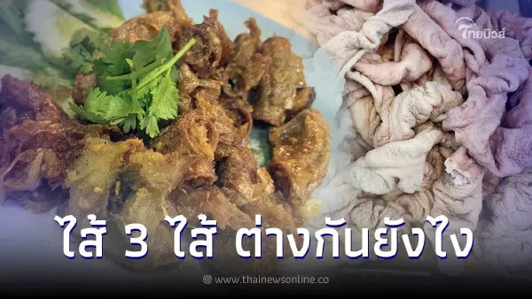ว่าด้วยเรื่อง "ไส้ๆ" ไส้อ่อน ไส้ใหญ่ ไส้ตัน ต่างกันอย่างไร เหมาะทำเมนูอะไร ว่าด้วยเรื่อง "ไส้ๆ" ไส้อ่อน ไส้ใหญ่ ไส้ตัน ต่างกันอย่างไร เหมาะทำเมนูอะไร