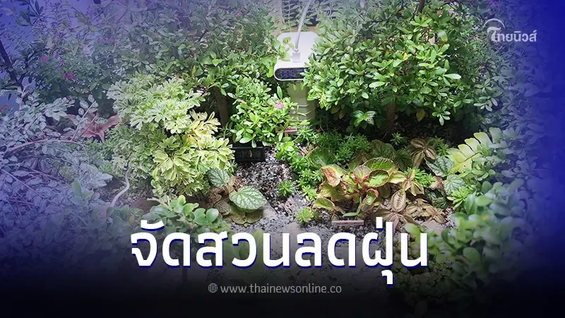 ภูมิทัศน์พรรณไม้ลดฝุ่น PM2.5 ไอเดียจัดสวน ได้สวนสวย ช่วยลดฝุ่น ภูมิทัศน์พรรณไม้ลดฝุ่น PM2.5 ไอเดียจัดสวน ได้สวนสวย ช่วยลดฝุ่น