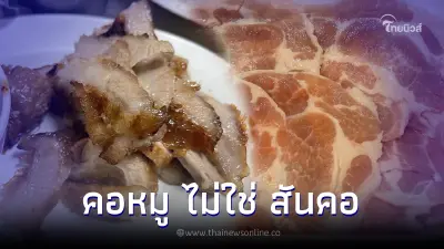 รู้ยัง "สันคอ" กับ "คอหมู" มันคนละส่วนกัน ระวังไปซื้อผิด รู้ยัง "สันคอ" กับ "คอหมู" มันคนละส่วนกัน ระวังไปซื้อผิด