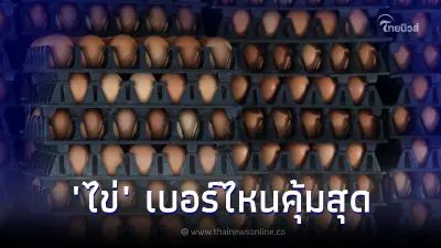 "ล้งไข่ไก่" บอกเอง ไข่แต่ละเบอร์ต่างกันอย่างไร ซื้อเบอร์ไหนคุ้มค่า สมราคา