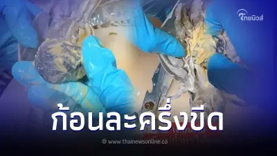 ร้านดัง แฉกลโกงกุ้งแม่น้ำไซส์ใหญ่ มันกุ้งสีแปลกๆ ผ่าออกมาเจอเต็มๆ