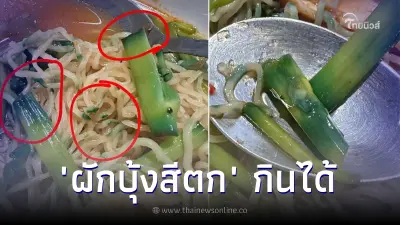 "ผักบุ้งสีตก" กินได้ คอนเฟิร์มไม่อันตราย ใครเจออย่าตกใจ