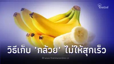 "กล้วย" วิธีเก็บไม่ให้สุกเร็ว ยืดอายุกล้วยอย่างไร ให้เก็บไว้กินได้นานๆ