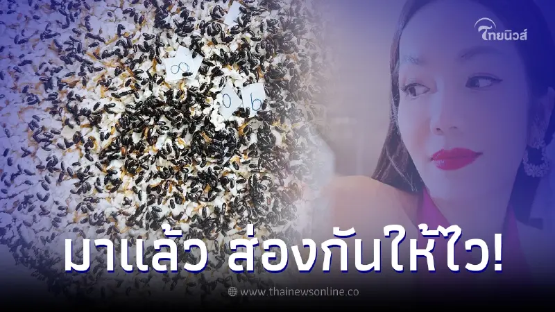 "อ๋อม สกาวใจ" มาแล้ว โชว์ชัดๆ เลขเด็ดกระดิ่งเงิน กระดิ่งทอง งวด 16/12/66 "อ๋อม สกาวใจ" มาแล้ว โชว์ชัดๆ เลขเด็ดกระดิ่งเงิน กระดิ่งทอง งวด 16/12/66