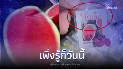 "อ.เจษฎ์" ไขข้อข้องใจ "แตงโมไร้เมล็ด" ทำไมถึงมีเมล็ดพันธุ์ขาย ? "อ.เจษฎ์" ไขข้อข้องใจ "แตงโมไร้เมล็ด" ทำไมถึงมีเมล็ดพันธุ์ขาย ?