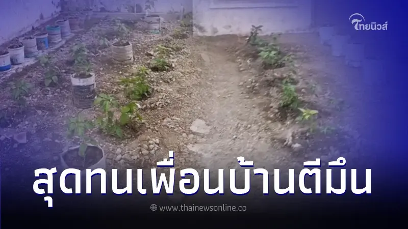 เจ้าของบ้านงงหนัก ไม่อยู่บ้านแค่เดือนเดียว บ้านกลายเป็นสวนพริก เจ้าของบ้านงงหนัก ไม่อยู่บ้านแค่เดือนเดียว บ้านกลายเป็นสวนพริก