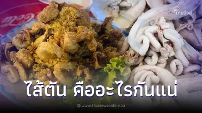 เปิดความจริง "ไส้ตัน" ไม่ใช่ส่วนไส้ แล้วคือส่วนไหน ถ้ารู้แล้วอย่าเพิ่งตกใจ