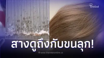 ช่างงงใจ ลูกค้าผมสวยมาก แต่เดินมาขอให้ช่วย ก่อนเอาหวีสางดู ถึงกับขนลุก