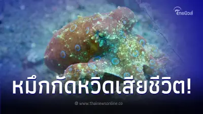 หนุ่มวัย 18 ตั้งใจเก็บเปลือกหอย ไปอวดหลาน จู่ๆ โดนหมึกกัดเกือบเสียชีวิต