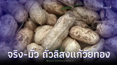 ชัดเจน ถั่วลิสงแก้วัยทองได้ กินแค่วันละ 1 กำ จริง-ไม่จริง กรมอนามัยตอบแล้ว ชัดเจน ถั่วลิสงแก้วัยทองได้ กินแค่วันละ 1 กำ จริง-ไม่จริง กรมอนามัยตอบแล้ว