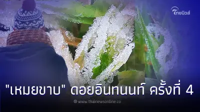 เหมยขาบ บนยอดดอยอินทนนท์ มาอีกครั้งเช้านี้