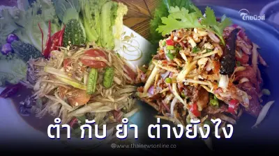 ถึงบางอ้อ "ตำ" กะ "ยำ" ต่างตรงไหน รสชาติก็คล้ายบางทีแทบแยกไม่ออก