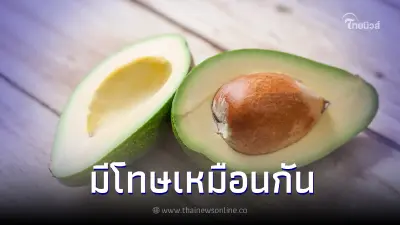 ระวัง "อะโวคาโด" มากประโยชน์แต่ก็มีโทษ รวมเรื่องต้องรู้ก่อนจะกิน