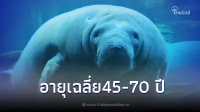 "พะยูน" สัตว์ทะเลชนิดแรกที่อยู่ในบัญชีสัตว์ป่าสงวน