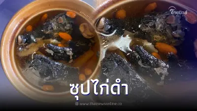 ซุปไก่ดำตุ๋นยาจีน สุดยอดเมนูเพื่อสุขภาพ บำรุงร่างกาย