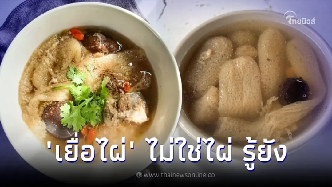 รู้ยัง "เยื่อไผ่" ไม่ใช่ไผ่แต่เป็นเห็ด ทำไมเรียกแบบนี้มีคำตอบ