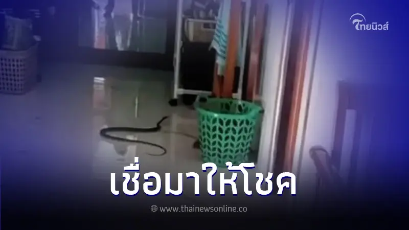 สาวขนลุก! ฝันเห็นพญานาค 2 คืนติด ตื่นมาเจองูเข้าบ้าน เชื่อมาให้โชคสิ้นปี สาวขนลุก! ฝันเห็นพญานาค 2 คืนติด ตื่นมาเจองูเข้าบ้าน เชื่อมาให้โชคสิ้นปี
