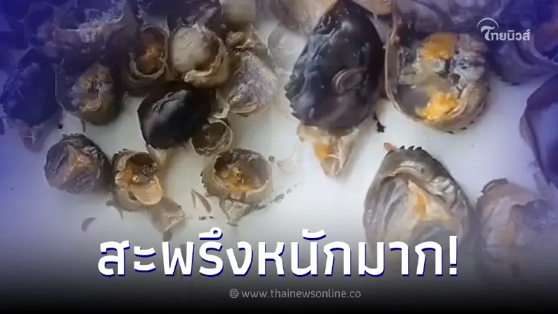ขนลุก สาวเตือนใครชอบกินปูดิบ ระวังไว้ให้ดี หลังเจอความสยองซ่อนอยู่ ขนลุก สาวเตือนใครชอบกินปูดิบ ระวังไว้ให้ดี หลังเจอความสยองซ่อนอยู่