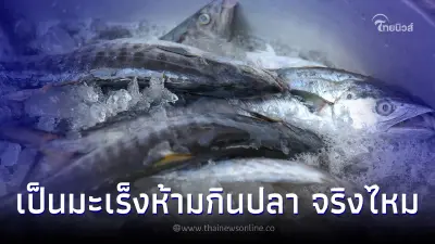 "เป็นมะเร็งห้ามกินปลา" จริงหรือมั่ว สถาบันมะเร็งให้คำตอบกระจ่าง