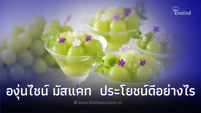 องุ่นไชน์ มัสแคท (Shine muscat) มีประโยชน์อย่างไร องุ่นไชน์ มัสแคท (Shine muscat) มีประโยชน์อย่างไร